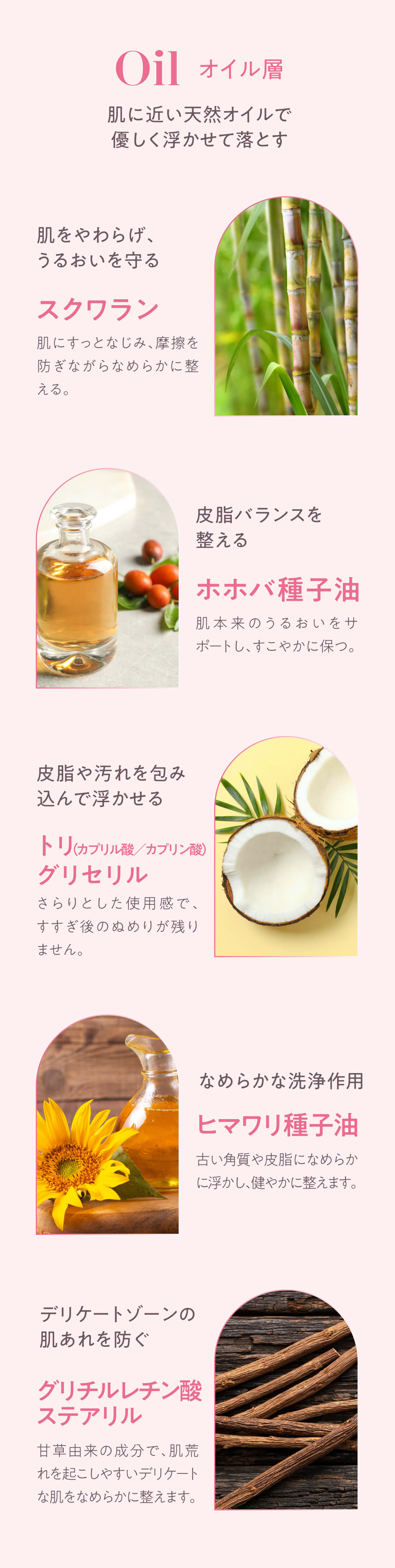 オイル層の注目成分（スクワラン、ホホバ種子油、トリ（カプリル酸／カプリン酸）グリセリル等）