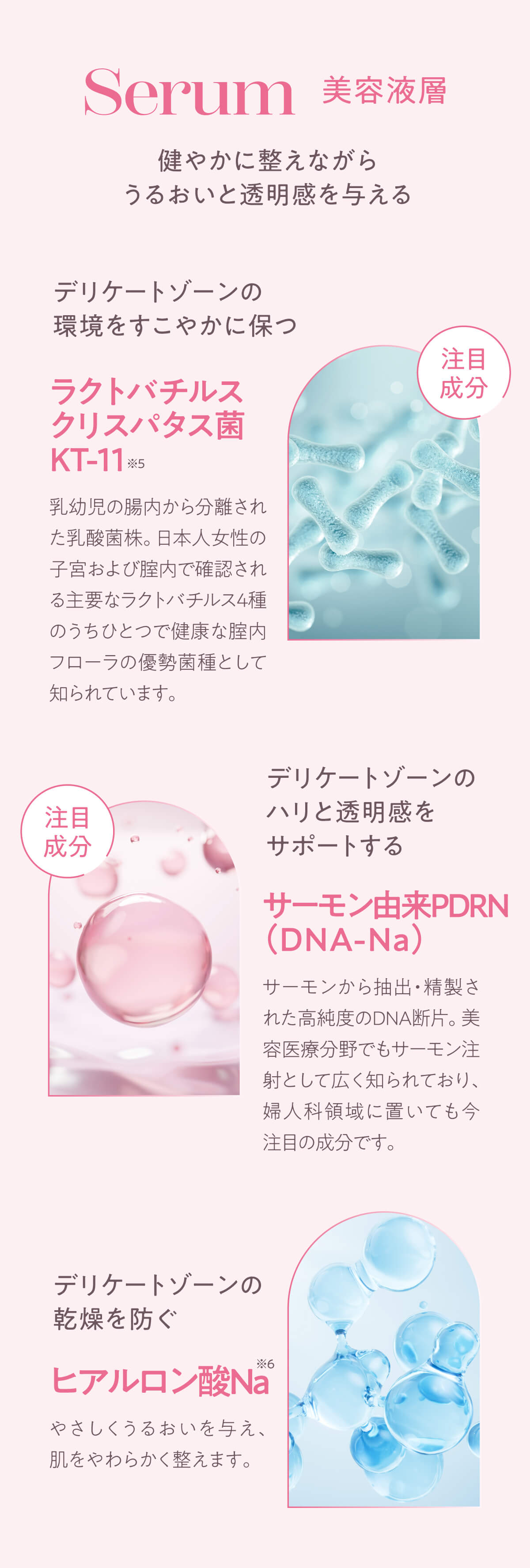 美容液層の注目成分（ラクトバチルスクリスパタス菌KT-11、PDRN、ヒアルロン酸Na）